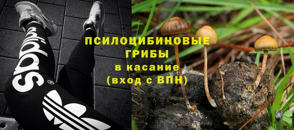 дурь Абинск