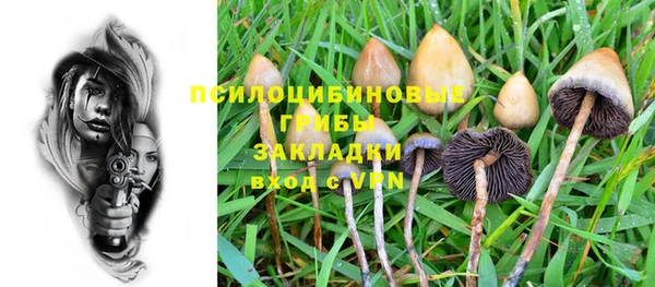 амф Абдулино