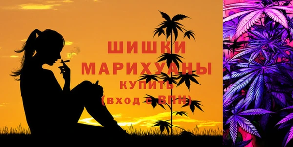 соль ск Абаза