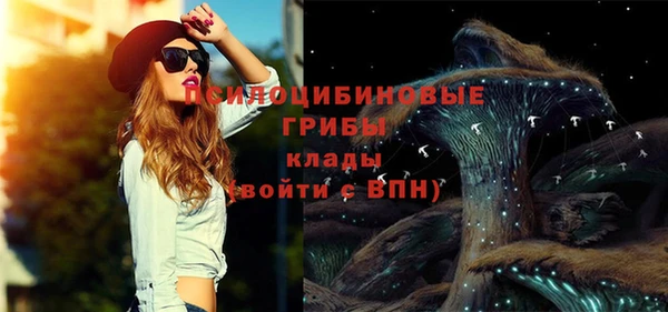 дурь Абинск