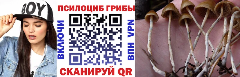 МЕГА сайт  Опочка  Псилоцибиновые грибы MAGIC MUSHROOMS 